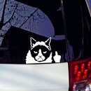 Autoaufkleber b�se Katze