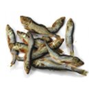 Sprotte ( kleiner Fisch) 100g