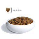 Gro�pack FBM Lamm & Reis Sens. Cat 6 x 14,5 kg