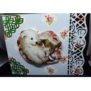 Gl�ckwunschkarte Welpe mit Kitten
