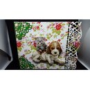 Gl�ckwunschkarte Beaglewelpe, Kitten