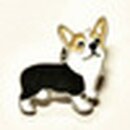 PIN  Corgie schwarz