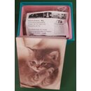 Schmuck-Snackbox Kitten