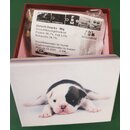 Schmuck-Snackbox Welpe