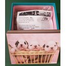 Schmuck-Snackbox 3 Welpen