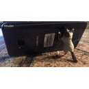 Handyhalter Katze