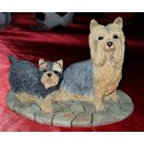 Yorkie mit Welpe klein