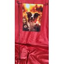 Gartenflagge Border Collie  (m. u. o. Fahnenmast)