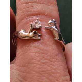 Ring Katzen