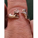 Ring Katzen
