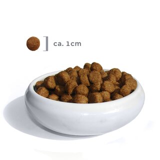 Probierpaket FBM Adult NEU 1 KG