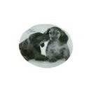 Glasschale Dackelgefl�ster gro�