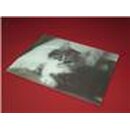 Glas-Schneidebrett Kitten gro�
