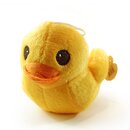Ente gro�